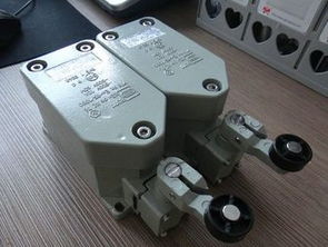 BZX51 D滚轮单摇臂式防爆限位开关 工业安全的关键传感器